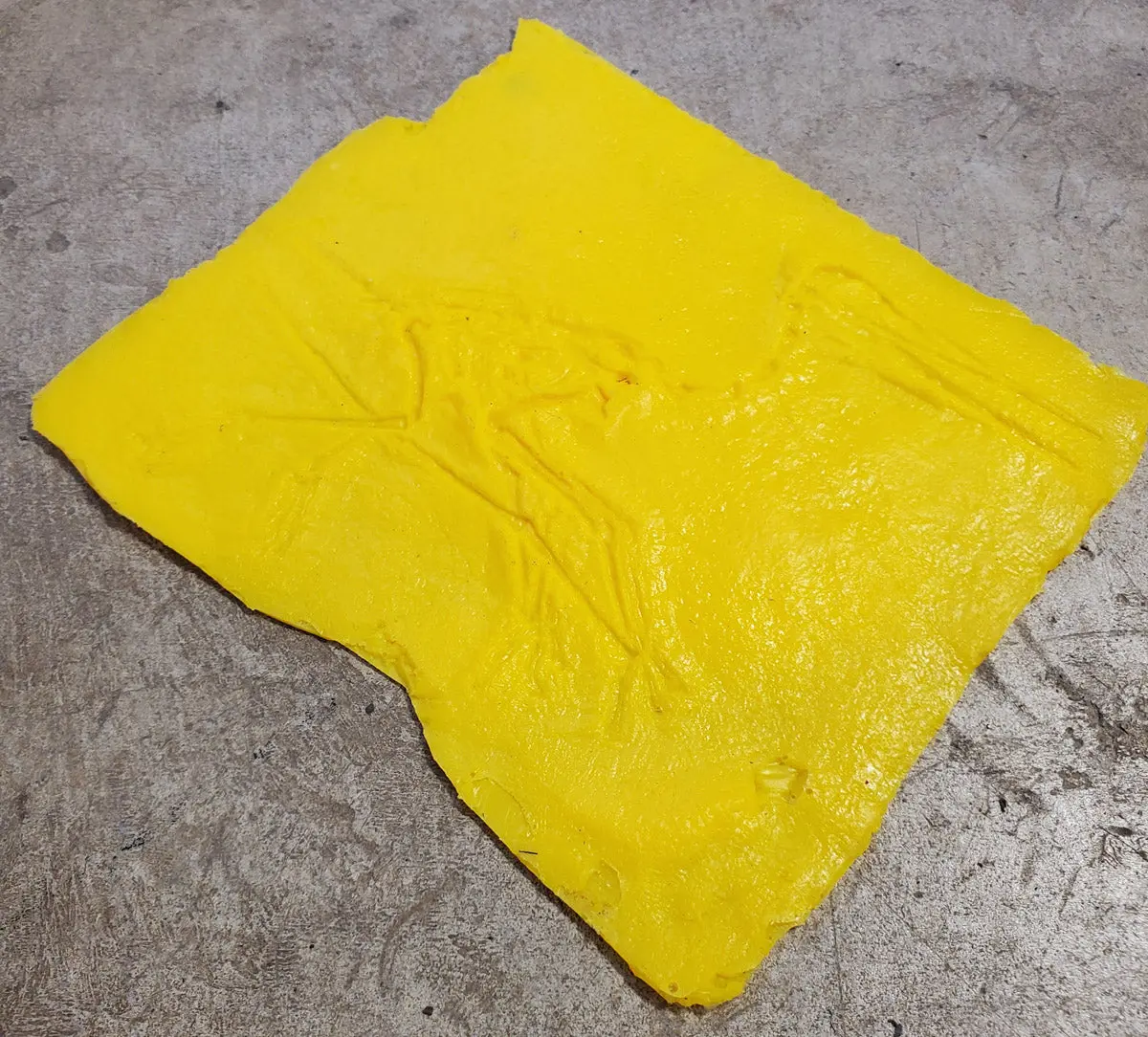 Fossil Print Rubber Mold Stamp for Concrete or Drywall Plaster - Image 4