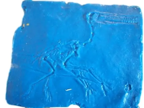 Fossil Print Rubber Mold Stamp for Concrete or Drywall Plaster - Image 8