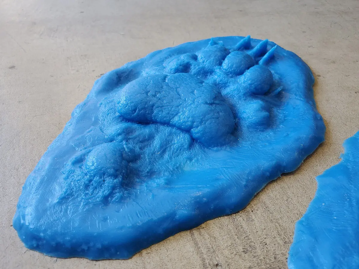 Animal Print Rubber Mold Stamp for Concrete - Oregon Black Bear - Image 2