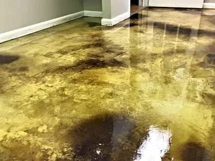 Best Floor Coating Sealer - Chemical and Scratch Resistance - AU85 - Image 3