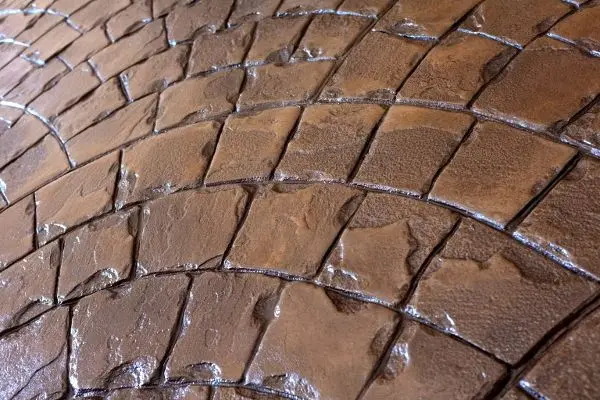 Cobble Concrete Stamps - Roman Fan - Image 4