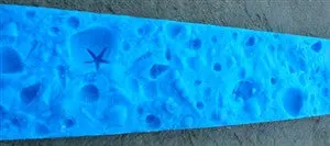 Concrete Edge Form Liner - 4" Coral Reef Sea Life - Image 6