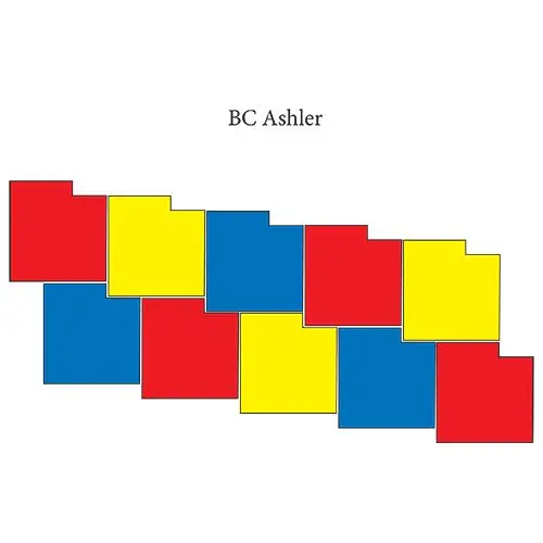 Slate Concrete Stamps - BC Ashler - Image 8