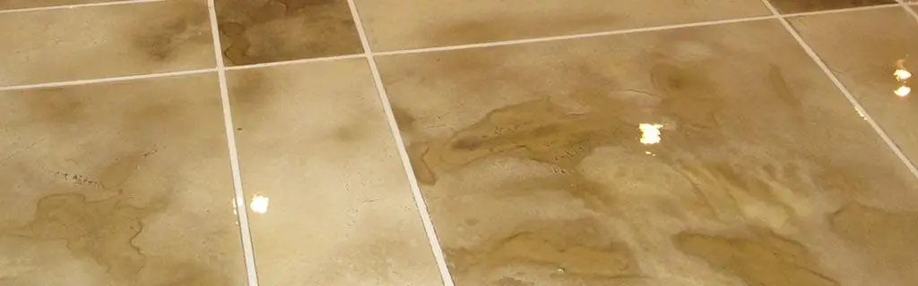 Concrete Water-Based Stain - Surecrete - Eco-Stain - Image 15
