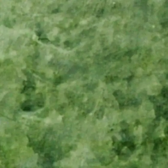 Water Based Stain for Concrete - Tru Tint WB (4oz Samples) - Image 34